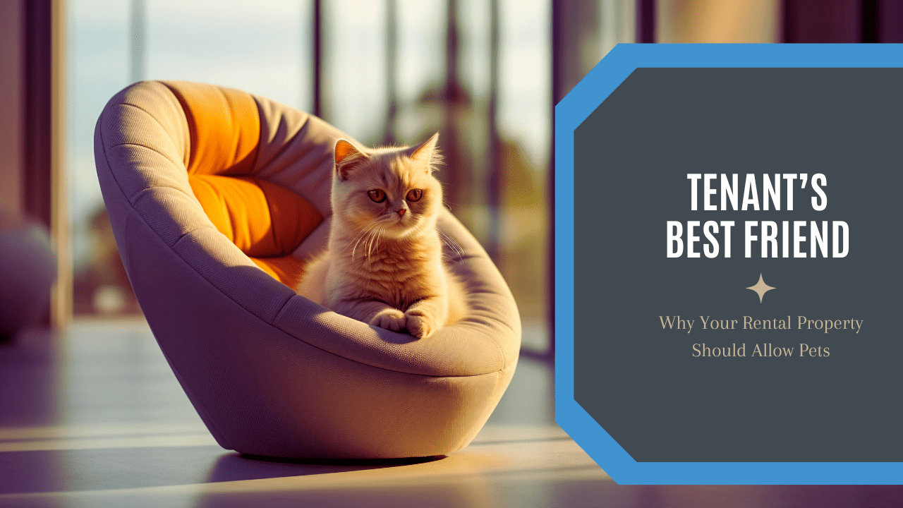 Tenant’s Best Friend: Why Your Rental Property Should Allow Pets